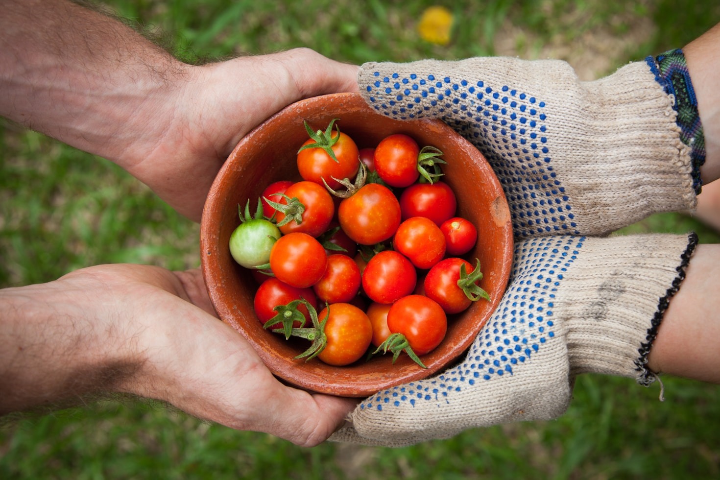 How Food Brings Hamtramck Together
